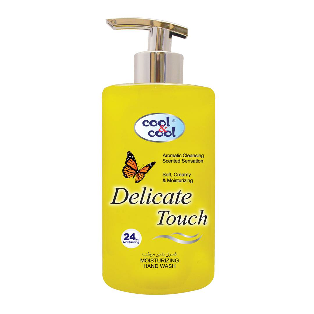 DELICATE TOUCH HAND WASH 1 LITER
