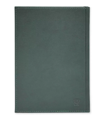 FIS Golden A5 Diary 2024 (English) Green - FSDI26EG24GR