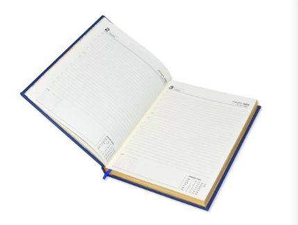 FIS Executive Diary 2023 (English) 1-Side Padded with Gilding, Brown - FSDI88EPG23BR