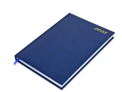 FIS Agenda Diary 2023 (English) Blue - FSDI75EVN23BL