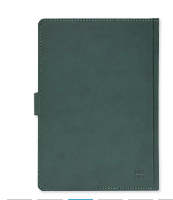 FIS Golden Agenda Diary 2024 (Arabic/English) Italian PU, 1-Side Padded, Gree - FSDI75AEPG24GR