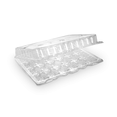 Falcon Clear Plastic Cake Cup Container 24 Cup DPI 24CC (1 Piece)
