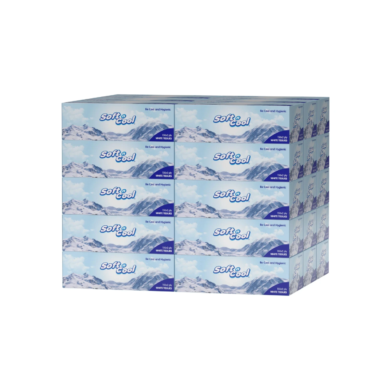 Soft n Cool Facial Tissue 30 boxes 150 Sheets x 2 ply