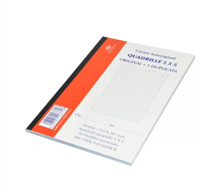 10-Piece FIS French Duplicate Books, NCR Paper (50 Sets) 5mm Square, Original with 1 Duplicate, A4 Size - FSDUA45MMNCR