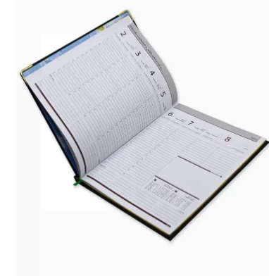 FIS Golden Executive Diary 2023 Arabic/English/French (1-Week at a glance) Green - FSDI35AEG23GR