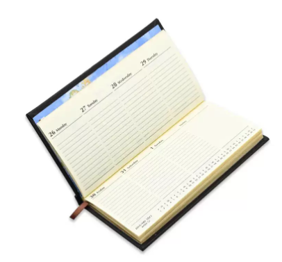 FIS 2023 Golden Slim Diary (English) Italian PU Hard Cover Dark Brown - FSDI57EG23DBR