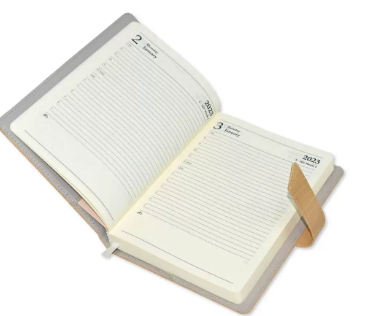 Fis 2023 A5 Diary English Vinyl Hard Sewn Cover Light Brown -FSDI80E23LBR