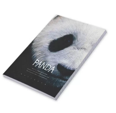 FIS Pack Of 5 Soft Cover Notebook, 96 Sheets A5 Panda Design 4 -FSNBSCA596-PAN4