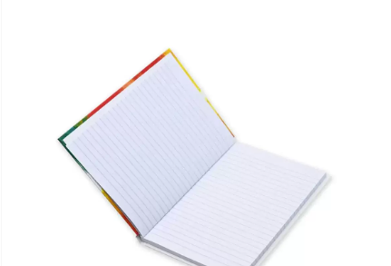 FIS Pack Of 5 Hard Cover Notebook, 96 Sheets A4 Panda Design 3 -FSNBHCA496-PAN3