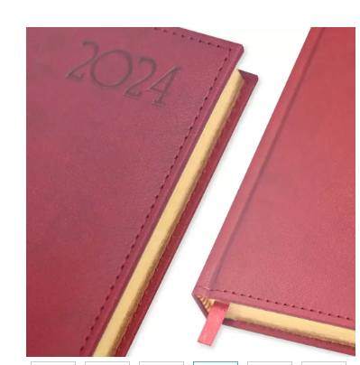 FIS Golden A5 Diary 2024 (English) Maroon - FSDI26EG24MR
