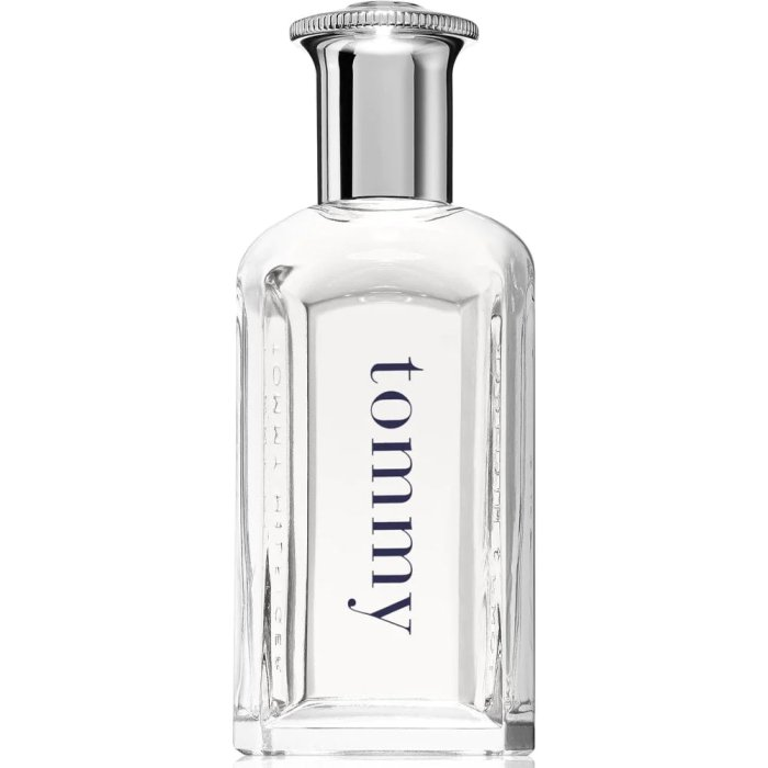 TOMMY HILFIGER TOMMY (M) EDT 100ML