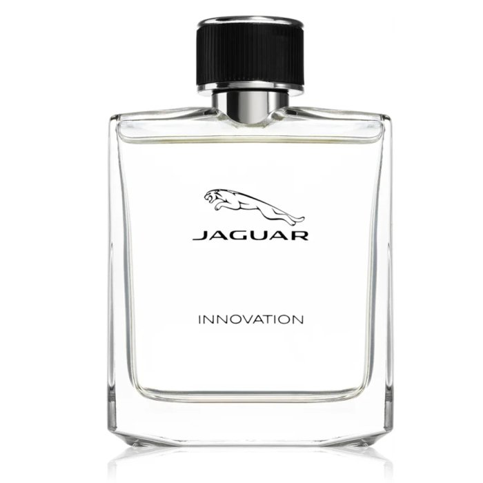 JAGUAR INNOVATION (M) EDT 100ML