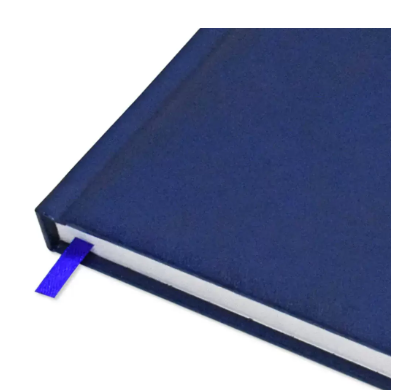 FIS A4 Diary 2024 English (Saturday & Sunday Combined) Blue - FSDI48E24BL