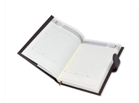 FIS Agenda Diary 2023 (English) Dark Brown - FSDI61023EDBR