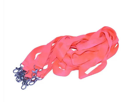 10-Piece FIS Neon Color Flat Lanyards with Metal Hook, Neon Pink Color, 2x90cm - FSNANPI/10