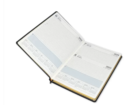 FIS 2023 Golden Diary A4 English Bonded Leather 1-Side Padded Black - FSDI48EGB23BK