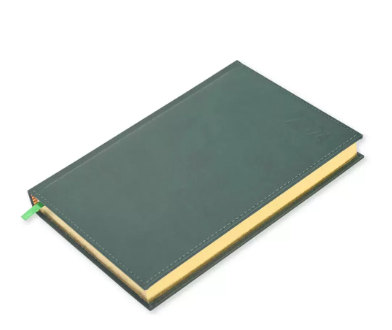 FIS Golden A5 Diary 2024 (English) Green - FSDI26EG24GR