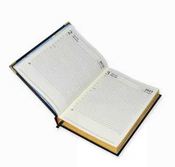 FIS 2023 Golden A5 Bonded Leather Diary English Gold Corner 1-Side Padded Black -FSDI26EGBC23BK