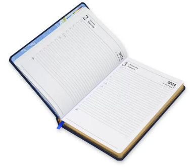 FIS Golden Diary 2024 (English) Blue, A5 - FSDI23EG24BL