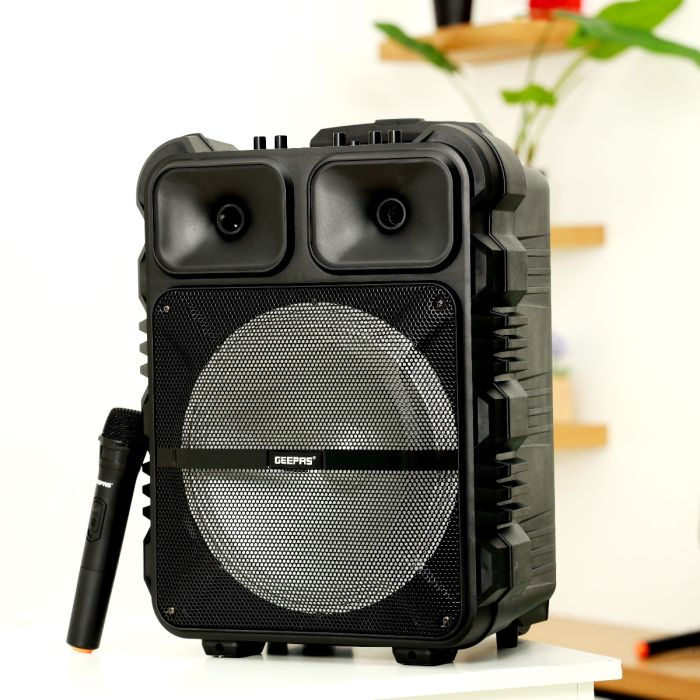 Rechargeable Trolley Speaker GMS11190