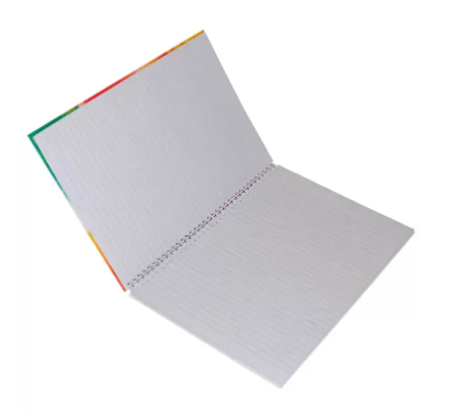 FIS Pack Of 5 Spiral Hard Cover Notebook, 96 Sheets A4 Panda Design 3 -FSNBSHCA496-PAN3