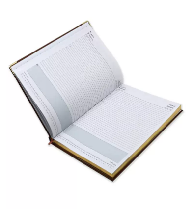 FIS A4 Golden Diary 2023 (Arabic/English) Brown - FSDI46AEG23BR