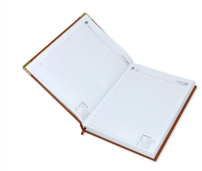 FIS Executive Daily Diary 2023 (English) Chocolate - FSDI88E23CH